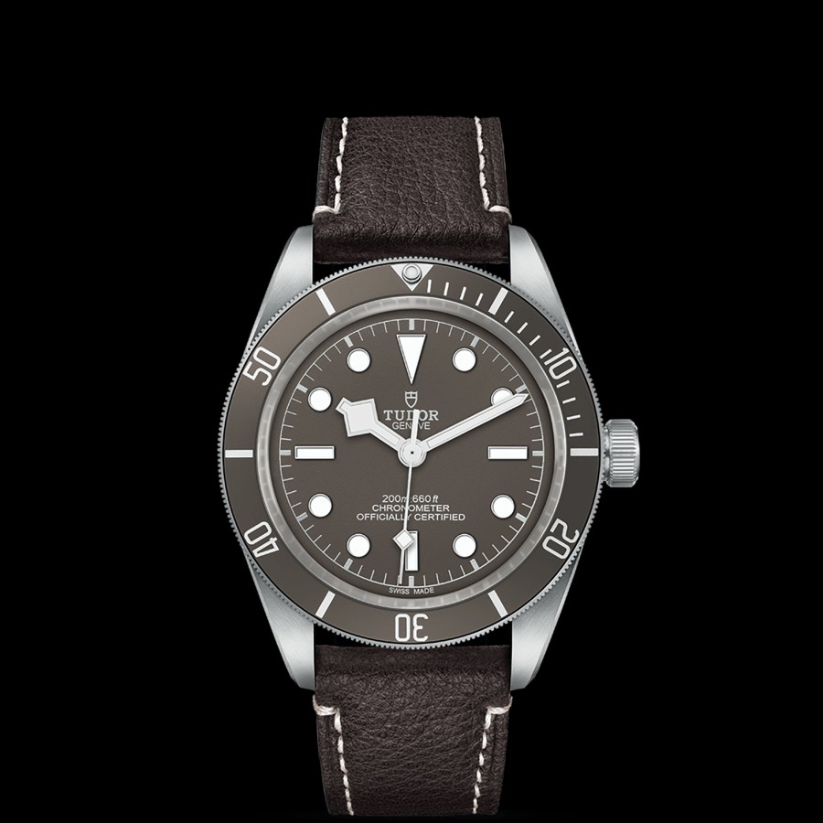 Watches TUDOR | Tudor Black Bay 58 925 39Mm Silver Case, Brown Leather Strap (M79010Sg